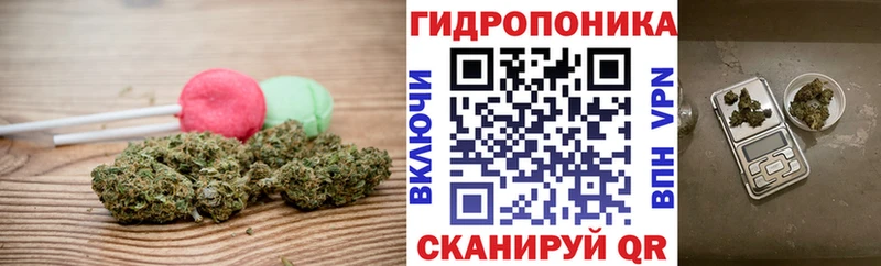 Cannafood конопля  KRAKEN онион  Алатырь 