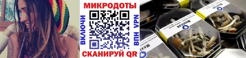 Псилоцибиновые грибы ЛСД  сколько стоит  Алатырь 